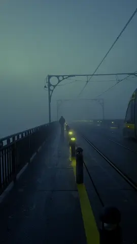 Walking in the fog 🖤 #real #cinematic #peaceful 