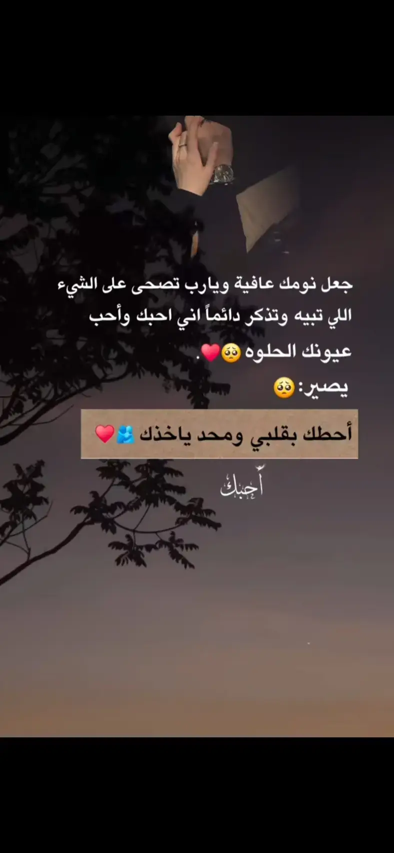 تصبح على خير ❤️ ❤️ 