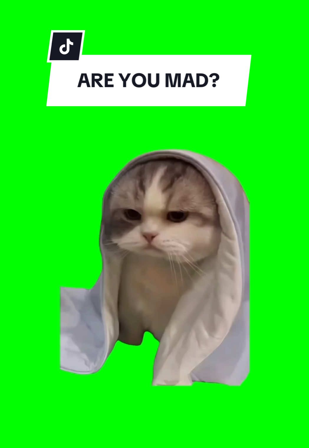 #CapCut ARE YOU MAD? #greenscreen #greenscreenvideo #greenscreenoverlays #fyp #fypシ #fyppage #fypシ❤️💞❤️ #meme #memes #memestagram #freefirememe #memepage #viral #viralvideos #viralreels #viralvideo #viralpost #sillybaloo #trend #trendy #trending #trendingreels #baloosilly #trendingtiktok #trendy #viralmeme #viralgoals #areyoumad 