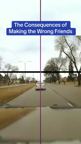 The Consequences of Making the Wrong Friends #cops #catsoftiktok 