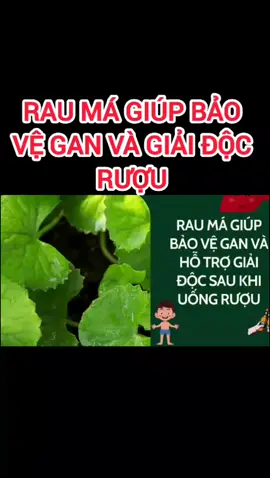 Rau má xứ Thanh #xuhuong 