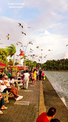 #buenaventura  #puertodebuenaventura  #pasificocolombiano 