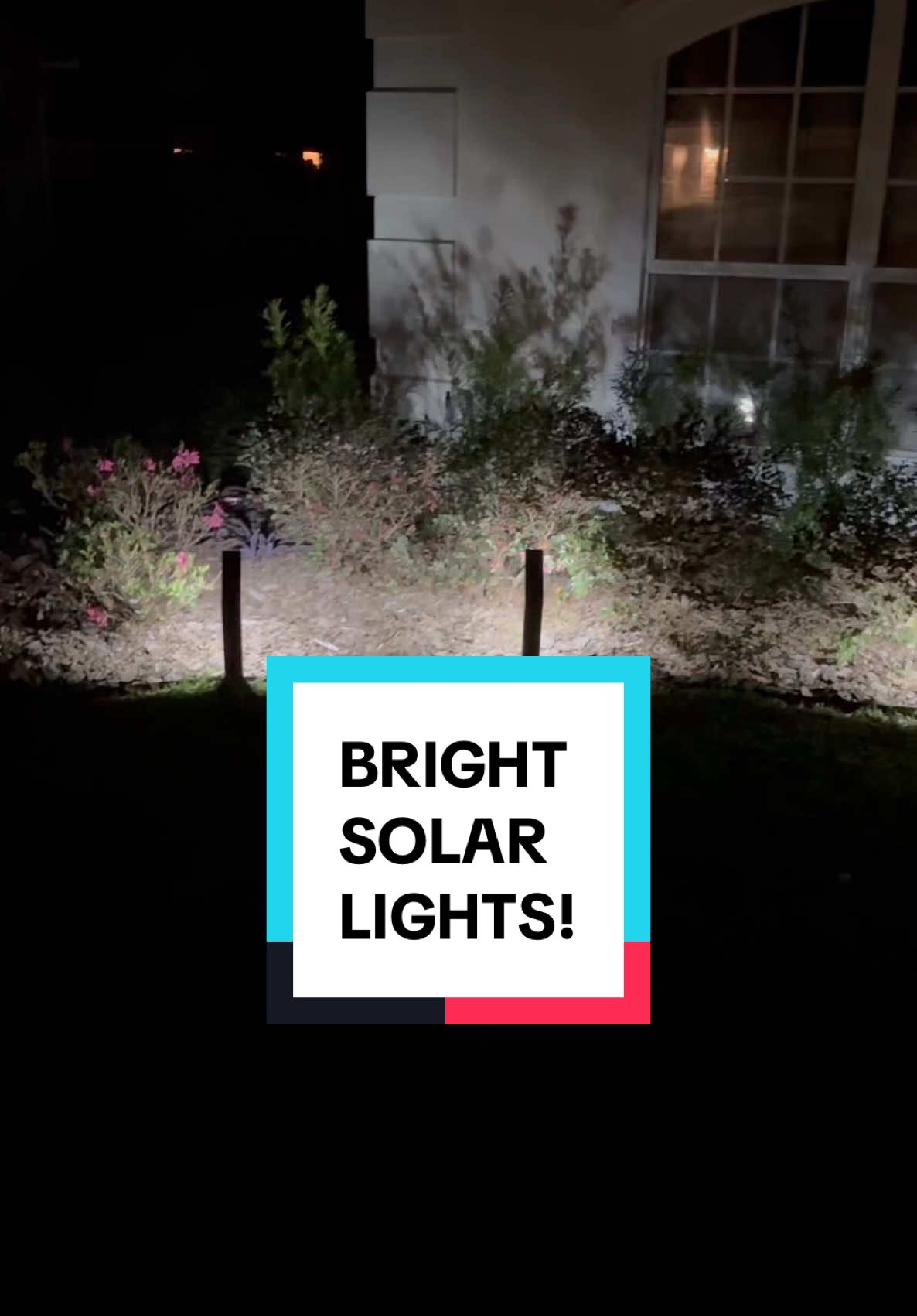 These Solar Garden Bed lights are adjustable sizes! #solarlights #tiktokshopcreatorpicks #ttsdelightnow #launchpadleaderboard 