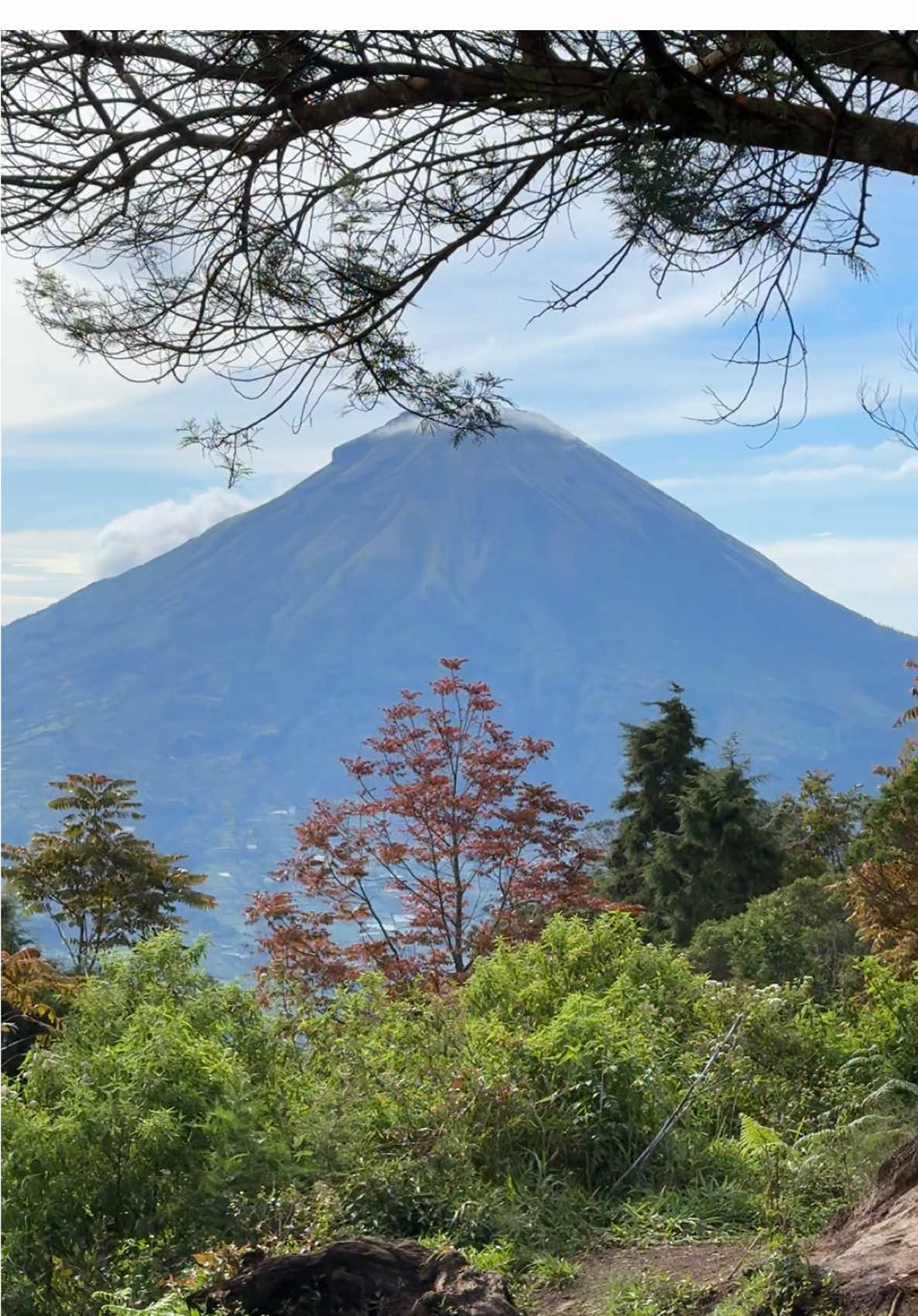 Mentahan buat bahan sw kalian vibes👌 Bukit sikunir pagi ini terpantau cerah dan mempesonahhhh😍😍😍 #fyp #fypシ゚viral #sikunir #dieng 