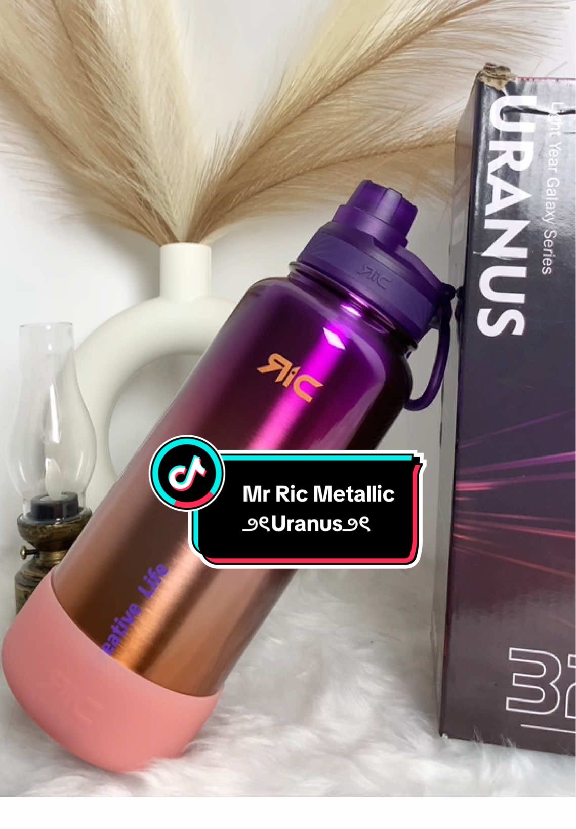౨ৎMr Ric Metallic 