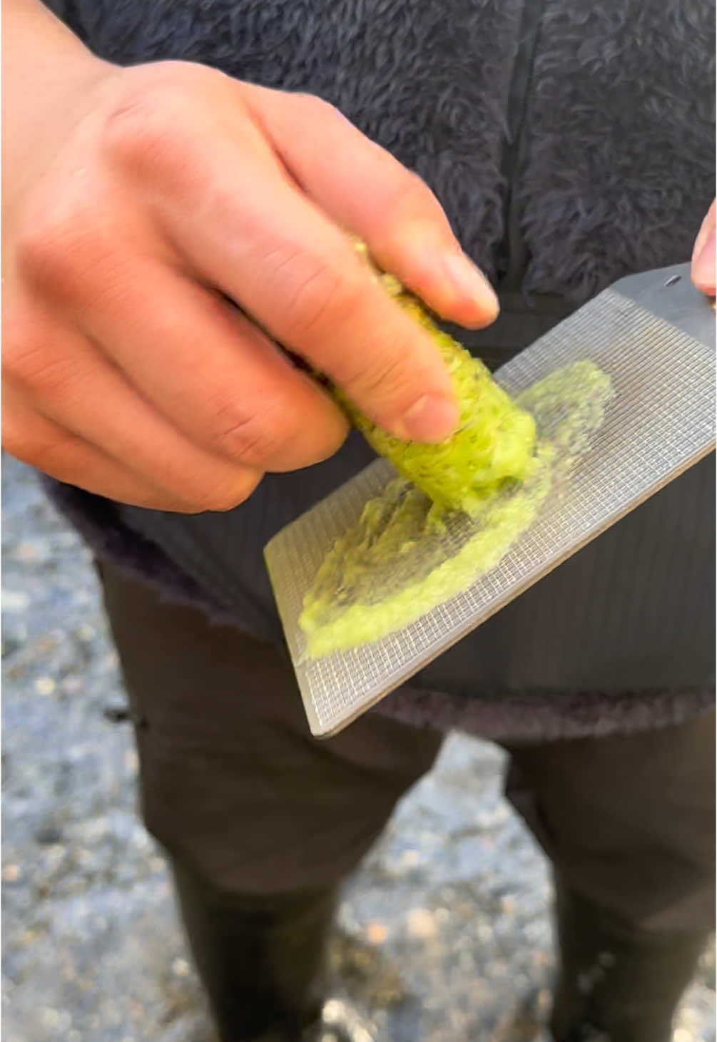 Grating ‘Ishidaru’ wasabi grown in Azumino, Japan by 5th generation master Mochizuki-San.  The Oroshi, or grater is known as Oni Namida or demon tears.  This strain is a cross between Mazuma and Daruma.  Mazuma provides the depth of flavor, while the Daruma genetics contributes to plant vigor and growth speed. #wasabi #realwasabi #nagano #azumino #japanesewasabi #farm #mazuma #daruma #mizuwasabi #sawawasabi #oroshi