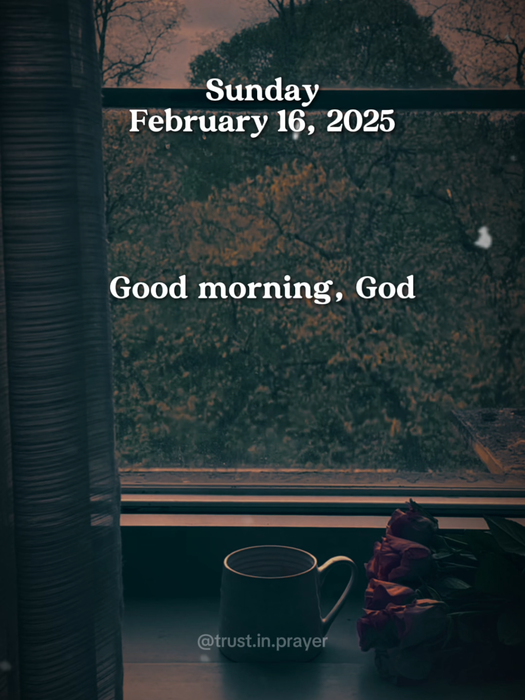 Sunday prayer to start your day February 16, 2025 #morningprayer #dailyprayer #letuspray #Godisgood 