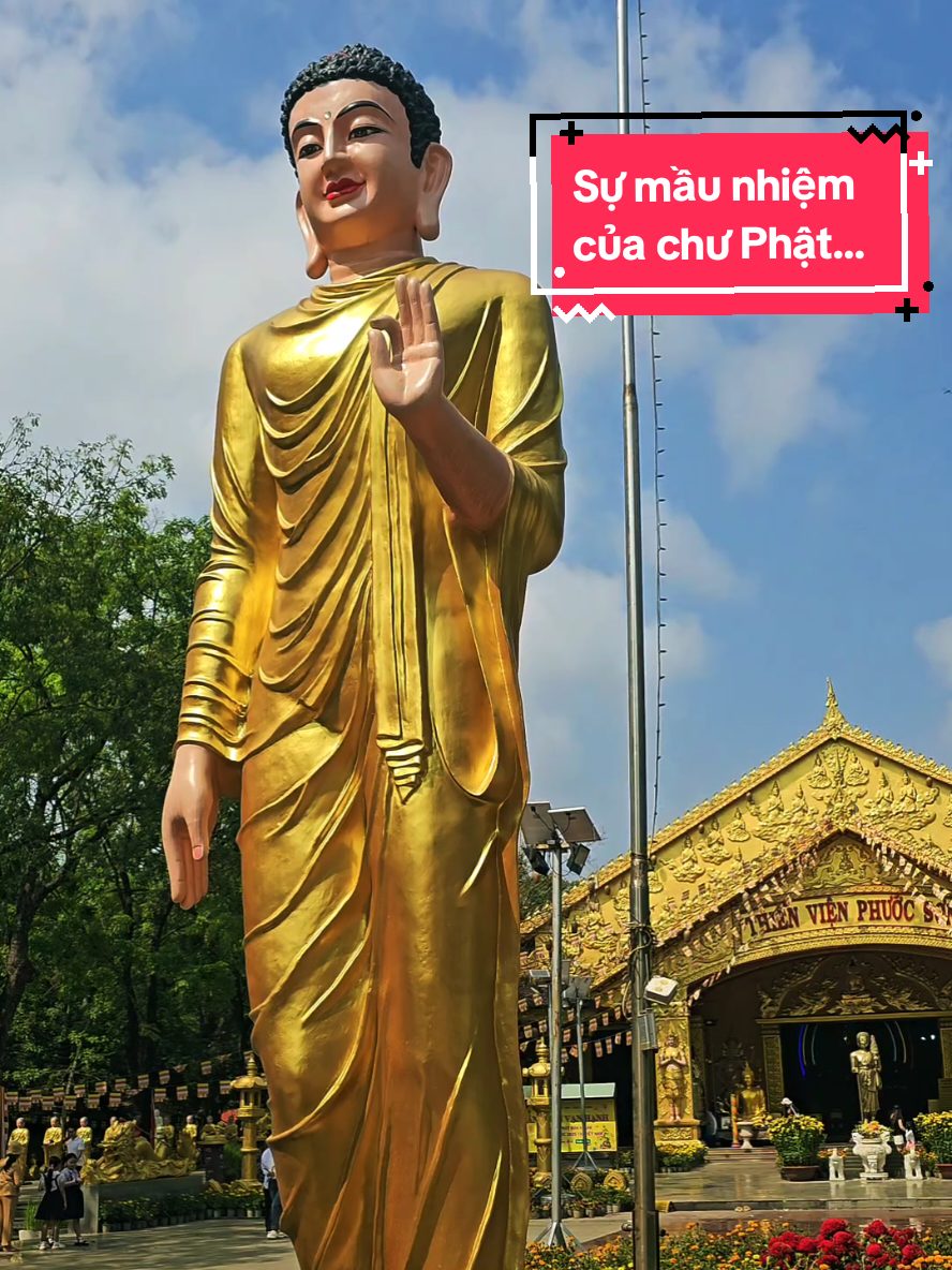 Sự mầu nhiệm của chư Phật... #theravada #binhyen #phatgiaonamtong #thienvienphuocson