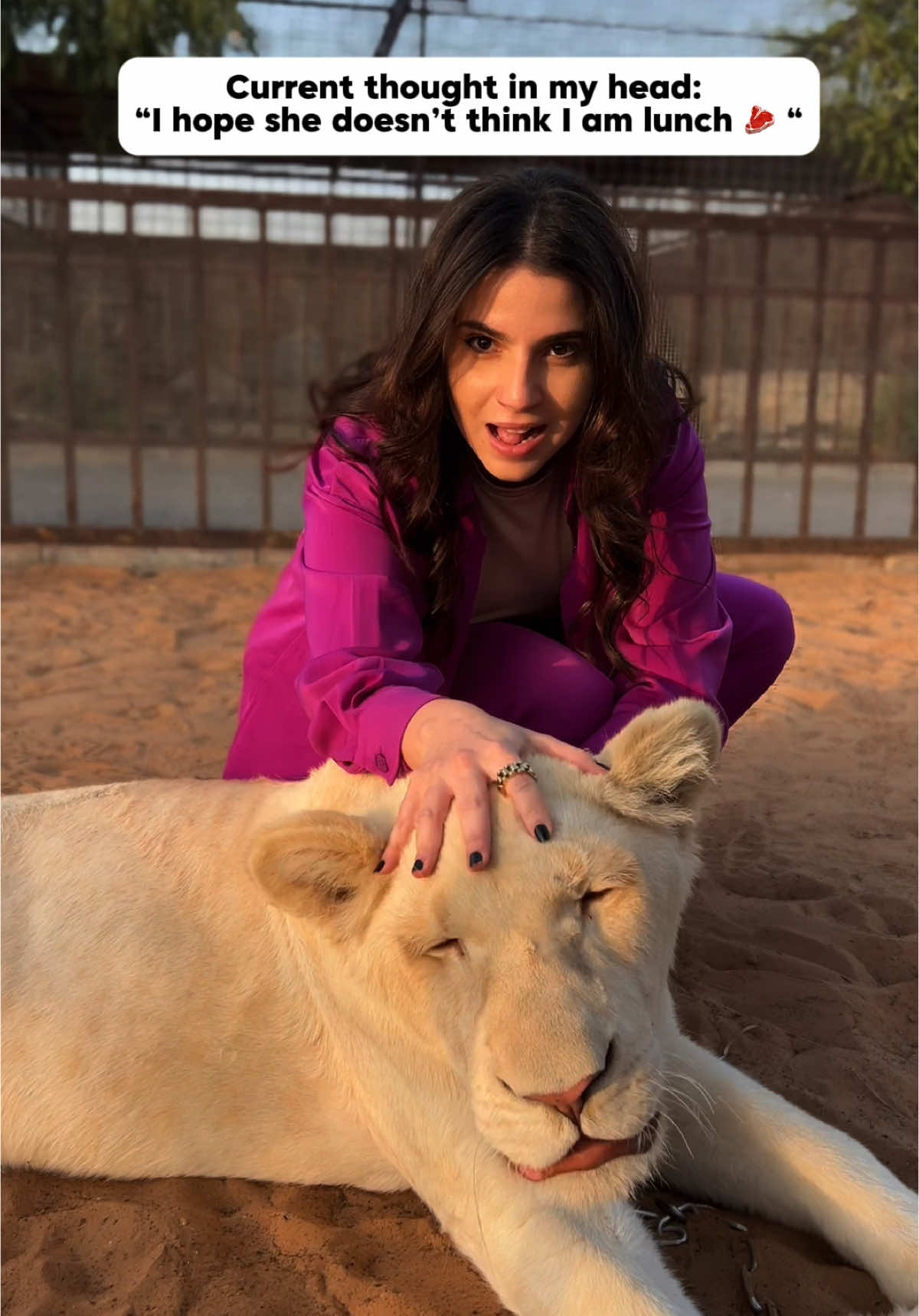 Nothing can stop me for the Gram - even a Lion 🦁 😂😭 @THE ZOO  #animallovers #safarilife #zoo #zooanimals #explorepage #viral #dubai #uae