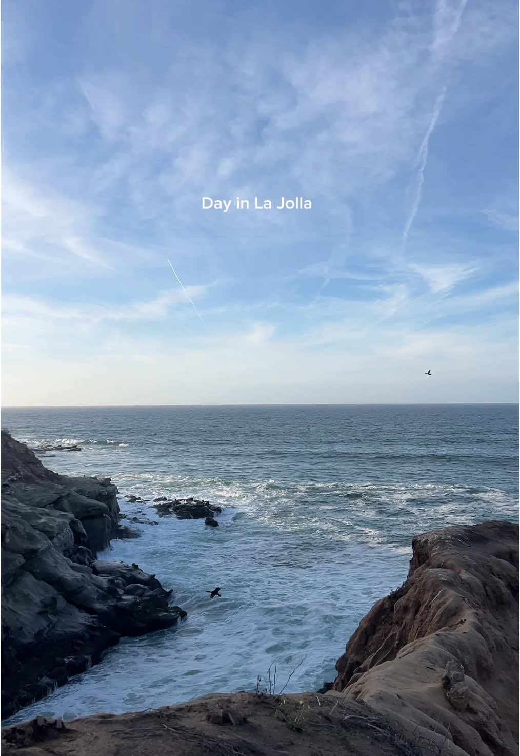 Day in my life! #sandiego #lajolla #california #diml #Vlog #dailyvlog #lajollasandiego #sd #sandiegolife #life #Lifestyle #dayinmylife #minivlog #day #morning #beach #ocean #aesthetic #shopping #coffee #coffeeshop #icedcoffee #lajollacove #harumama #dailyvlog #content #contentcreator #fyp #fy #fypシ #fypage #foryoupage #cali #vibes #food #comfortcreator #thingstodoinsandiego #creatorsearchinsights 