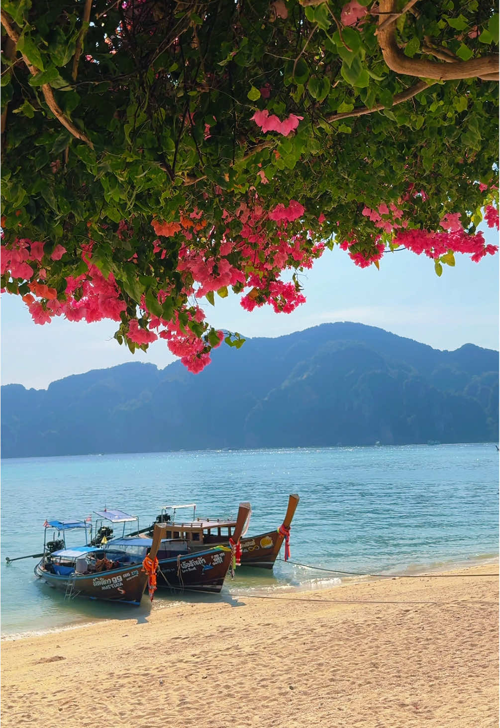 ทะเลใต้ไปไหนดี ซัมเมอร์นี้มีลายแทงเที่ยวทะเลภาคใต้มาฝากกัน 🌊🏖️ #LazTravel #สุขทันทีที่เที่ยวภาคใต้  . . . . . . #เที่ยวภาคใต้ #ทะเลใต้ #ภาคใต้ #ทะเลภูเก็ต #ทะเลกระบี่ #ทะเลตรัง #ทะเลไทย #ทะเลใต้ #อันดามัน #ภูเก็ต #กระบี่ #พังงา #สิมิลัน #หลีเป๊ะ #เกาะพีพี #tiktokพาเที่ยว 