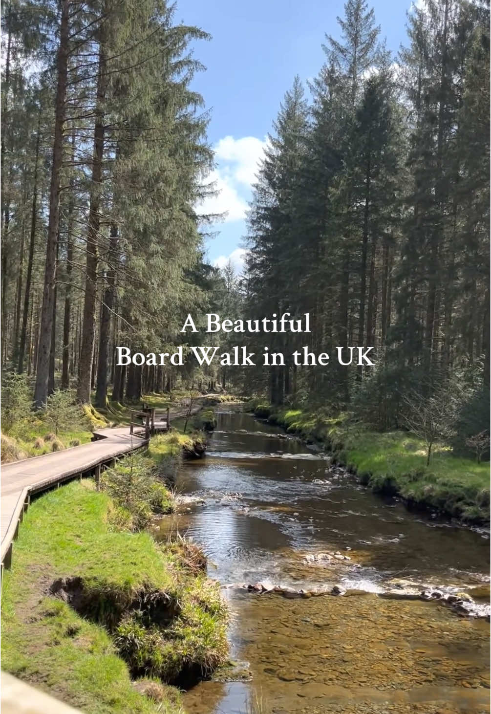 The most beautiful Board walk in the UK. 📍Hafren Forest Walk to the source of the River Severn - or choose from numerous walks including waterfalls. While still a commercial forest, the forty to fifty year felling cycle allows Foresty Commission to manage Hafren as a habitat for wildlife and for the quiet, relaxing enjoyment of visitors.  🚗 SY18 6PT #ukmustsee #midwales #hafrenforest #riversevern 