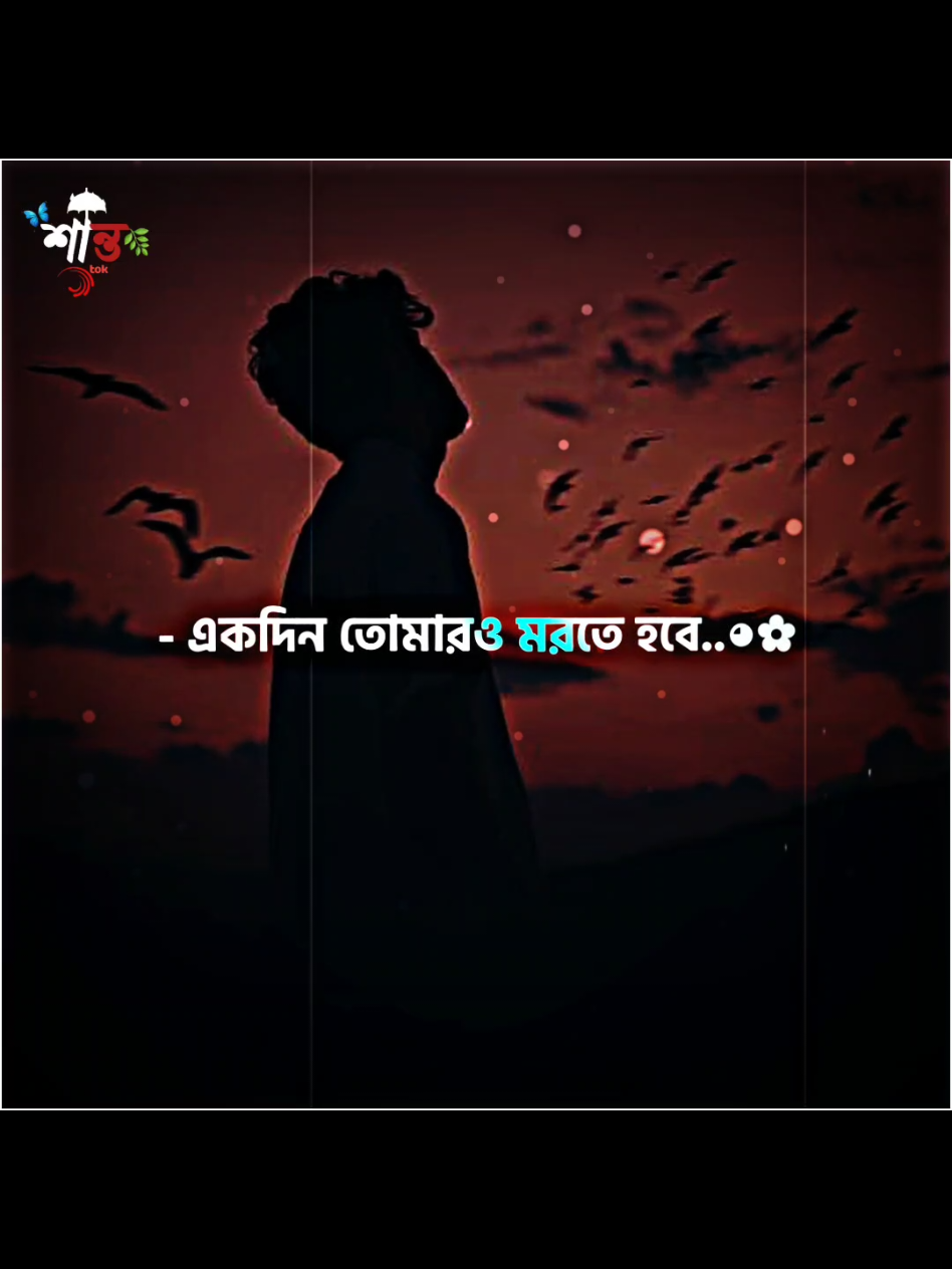 একদিন সবারই এই পৃথিবীর ছেড়ে চলে যেতে হবে.🤲 #islamic_video #foryou #tiktok #md_santo836 @TikTok 