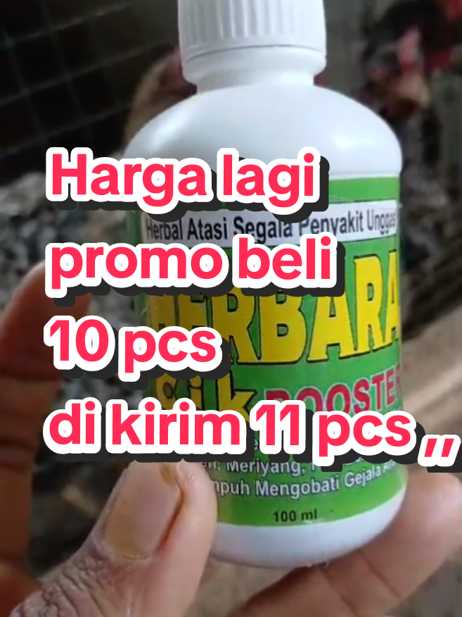 Harga lagi promo beli 10 pcs di kirim 11 pcs ,, #herbaracik #daribahanalami #unggas #solusisehat 