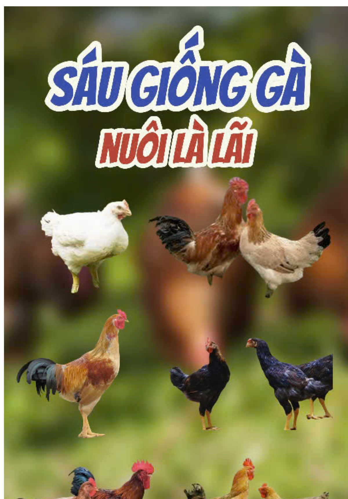 6 giống gà nuôi là lãi #bestphage #giacam #channuoi #xuhuongtiktok #thuocthuy 