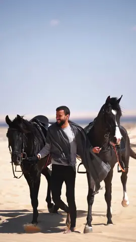 Ghaly & Magd , the two black beauties 🖤 We have still 2 saddle left for the 5 days horse tour in March (7-12) , join us 🇪🇬🐎 #Egypt #horse #equestriantravel #horses #horseriding #horselover #horsesontiktok #horsepower #خيل #خيل_وخياله🐎 