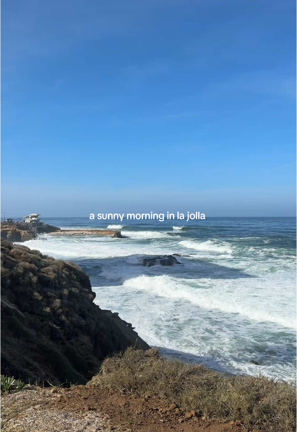 if you want a fun little morning outing - pop over to La Jolla 🦭🌊☕️ 1. grab breakfast in a cutie cottage at blue whale  2. check out the seals at La Jolla cove  3. get your coffee fix at mrktspace #lajolla #sandiego #lajollacove #kidfriendly #sd #sdliving #sdlife 