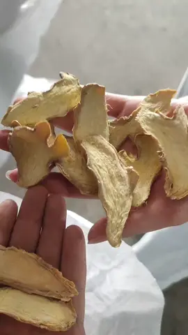cung cấp gừng khô thái lát rẻ nhất mọi thời đại. #cungcapgungxuatkhau #gungkhoxuatkhau #drygingerslice #ginger #spices #gingerpowder #supplydryginger #gimexvietnam 
