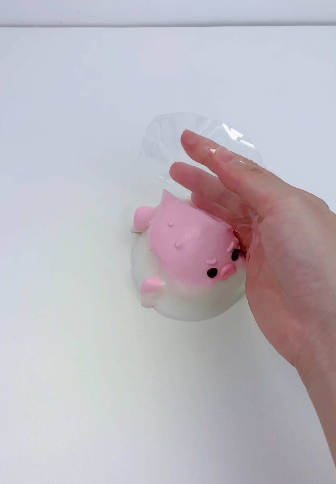 FUFUSQUISHY ASMR 🐡🐡Pink Pufferfish