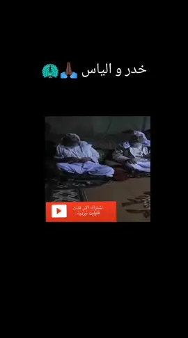 #طاووسي_ملك_ئيمانا_ما😍😍إيزيدية خلمت قبول مام جردو🙏🏿🦚