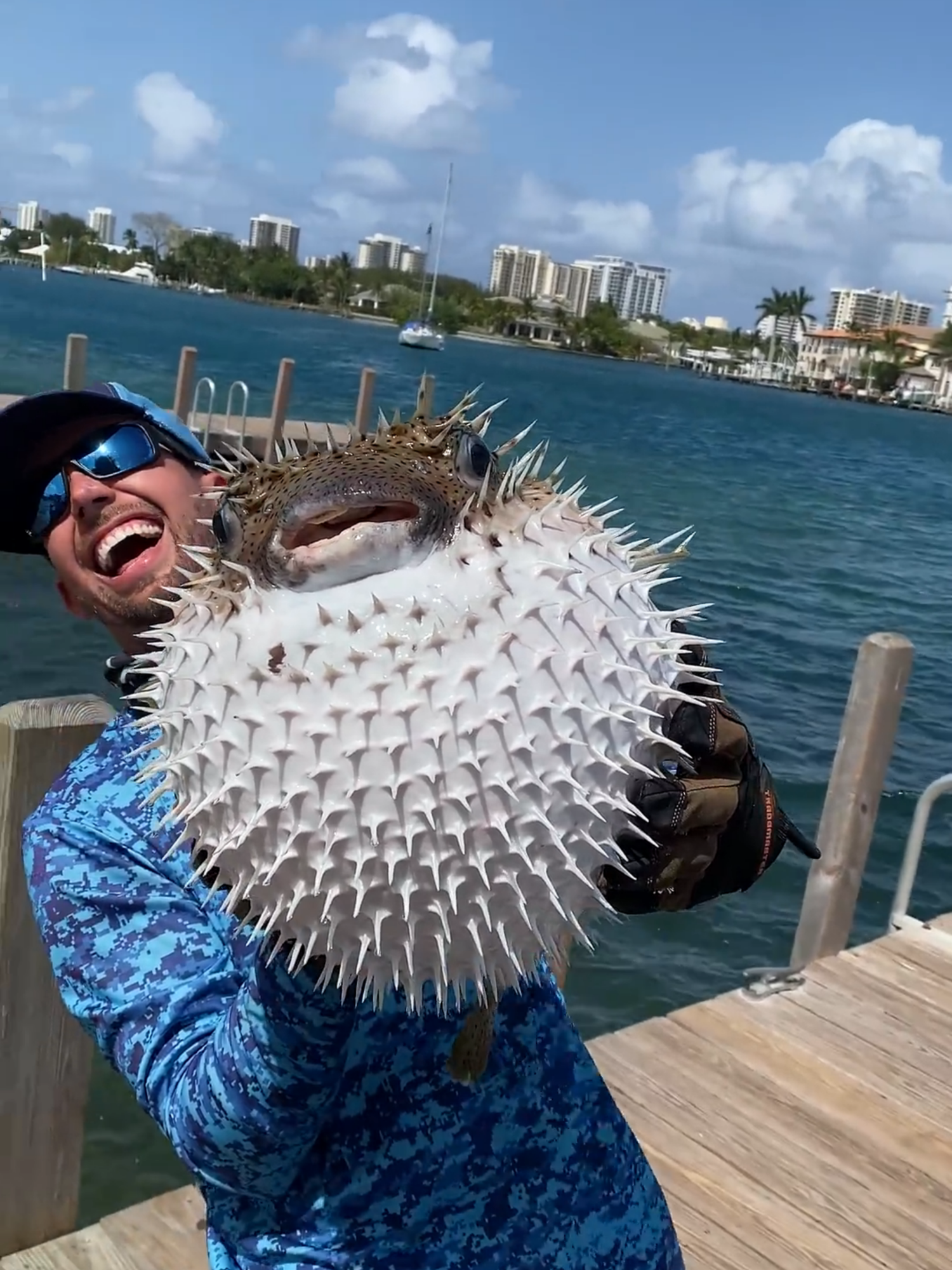 🐡 