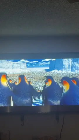 Super Bowl penguins 😂😂 #kendricklamar #fyp #penguin  #penguins #happyfeet #kendricklamarhalftimeshow #theynotlikeus #notlikeus #foryoupage #california 