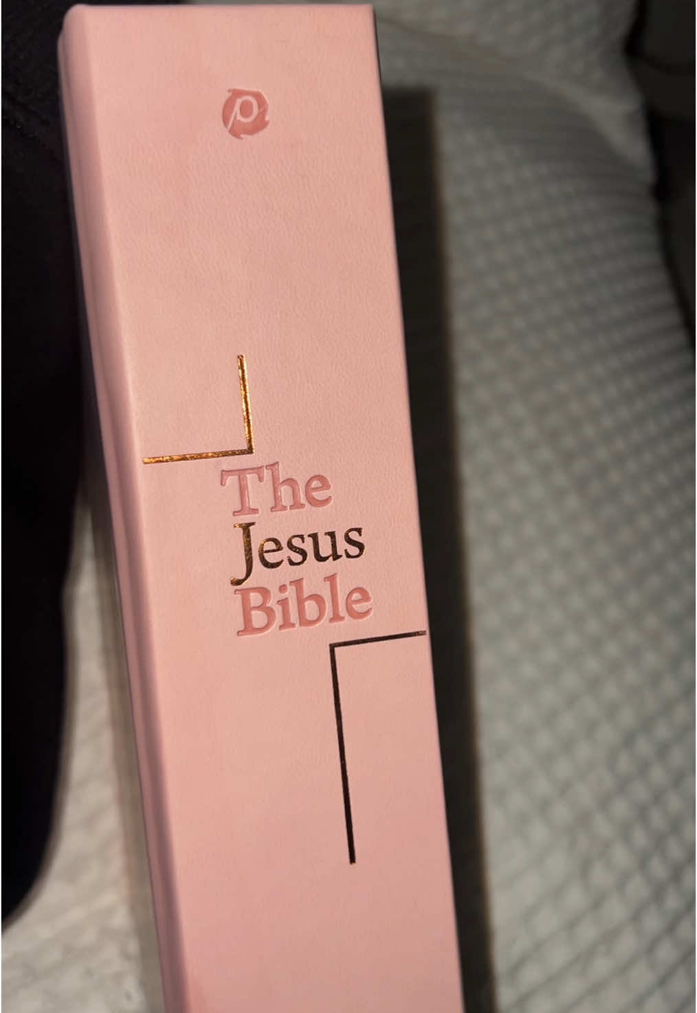 The Jesus Bible 💗: https://amzn.to/3EHLJoG  #thejesusbible #pinkbible #christiantiktok #fyp #bellaalmeida25 #foryou #viral 