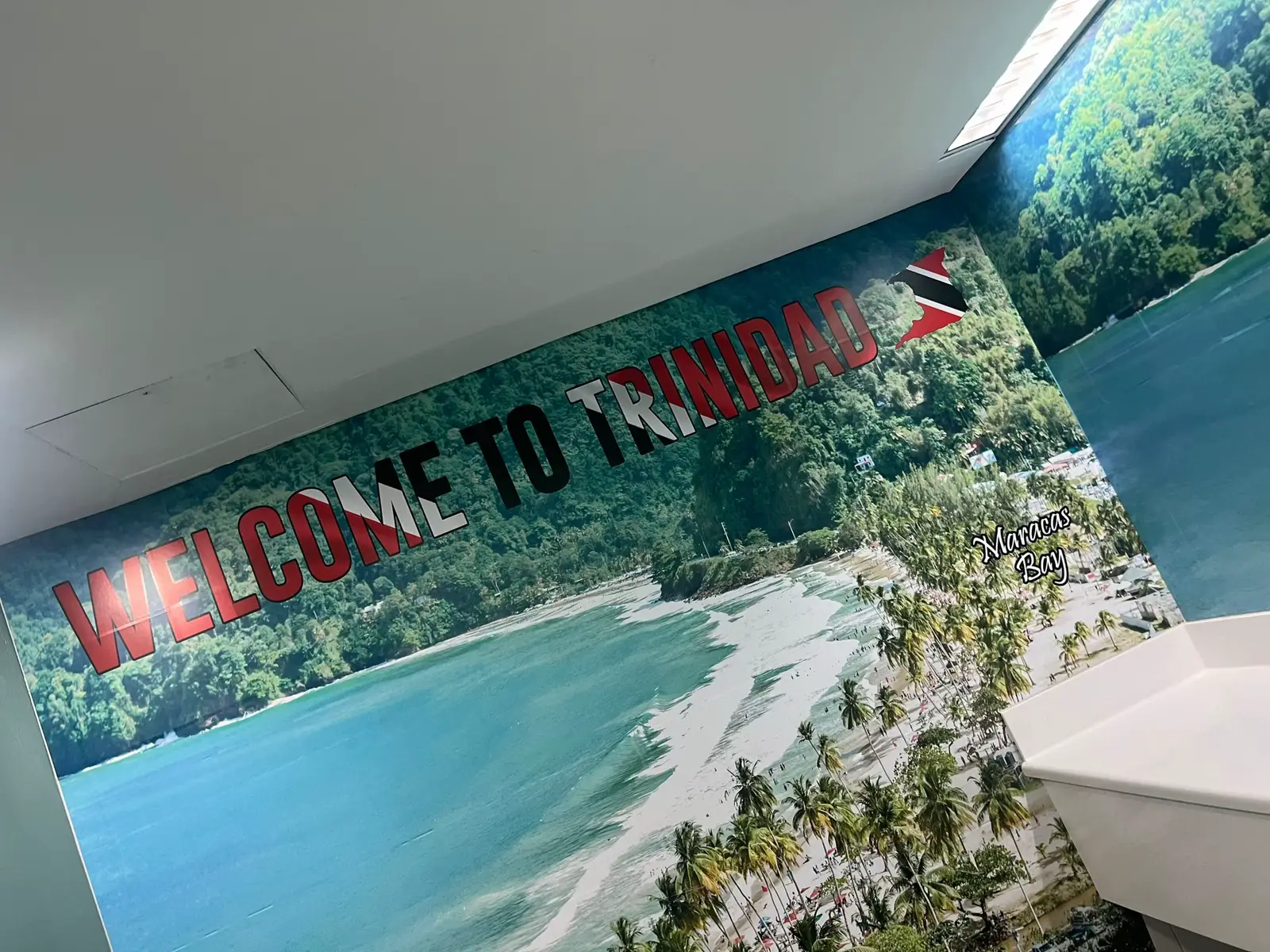 Literal paradise #fyp #trinidad #trending #caribbean #dump 