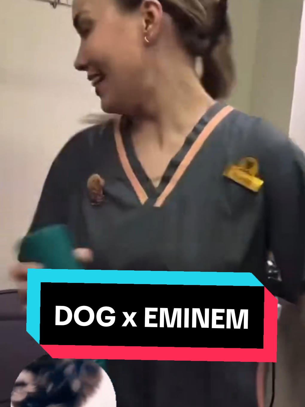 Probabilmente il miglior video di sempre 😂 #funnymemes #laughing #eminem #justloseit #funnydog #neiperteee 