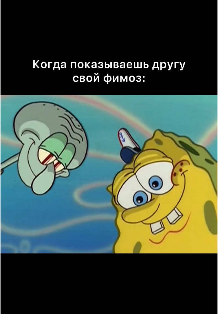 #мемы 