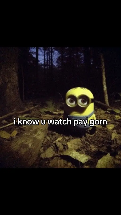 #paygornlover #fyp #goviral #vriel #minion #paygorn 