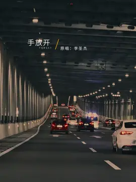 #手放开 #好歌分享🎼 #mlmlyrics #音乐 #好歌推薦 #音乐推荐 #Shadowenterprise 