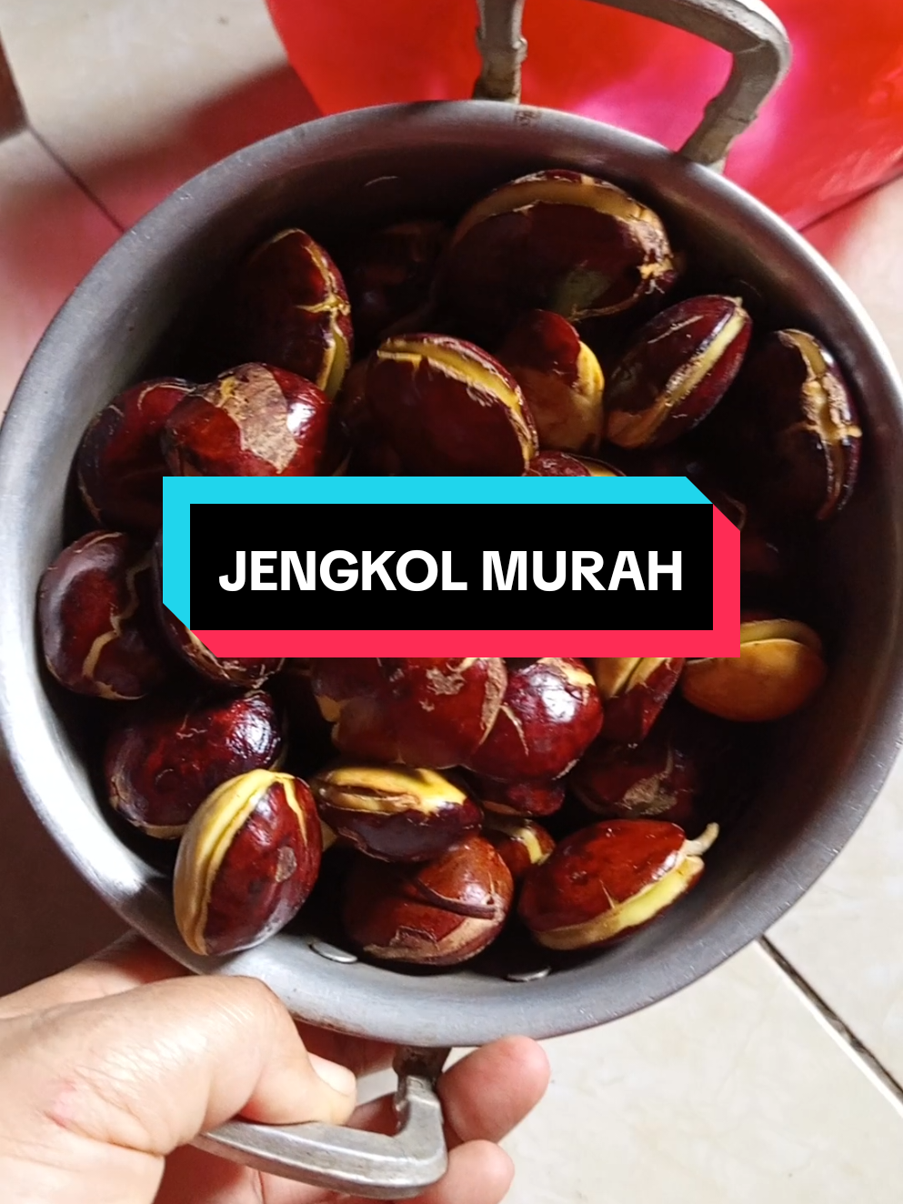 jengkol tua 1 kg#jengkol #jengkolmurahberkualitas 