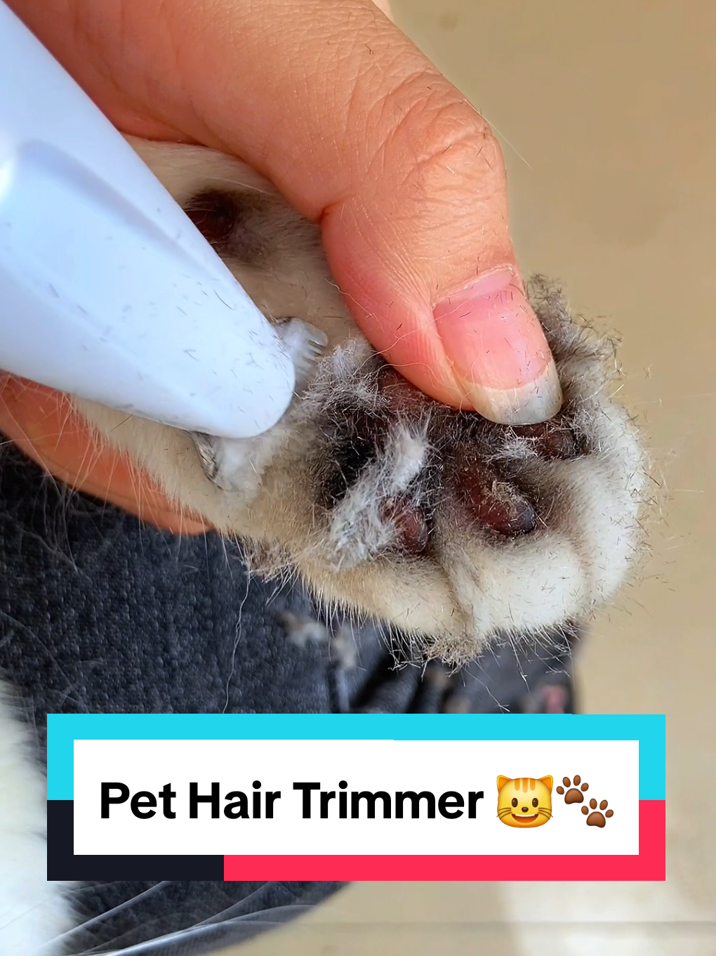 Pet Hair Trimmer 😺🐾 #pethairremoval #catbrush #catproducts #shedding 