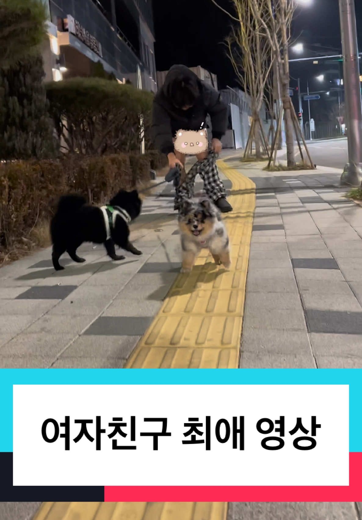 여자친구 최애 영상