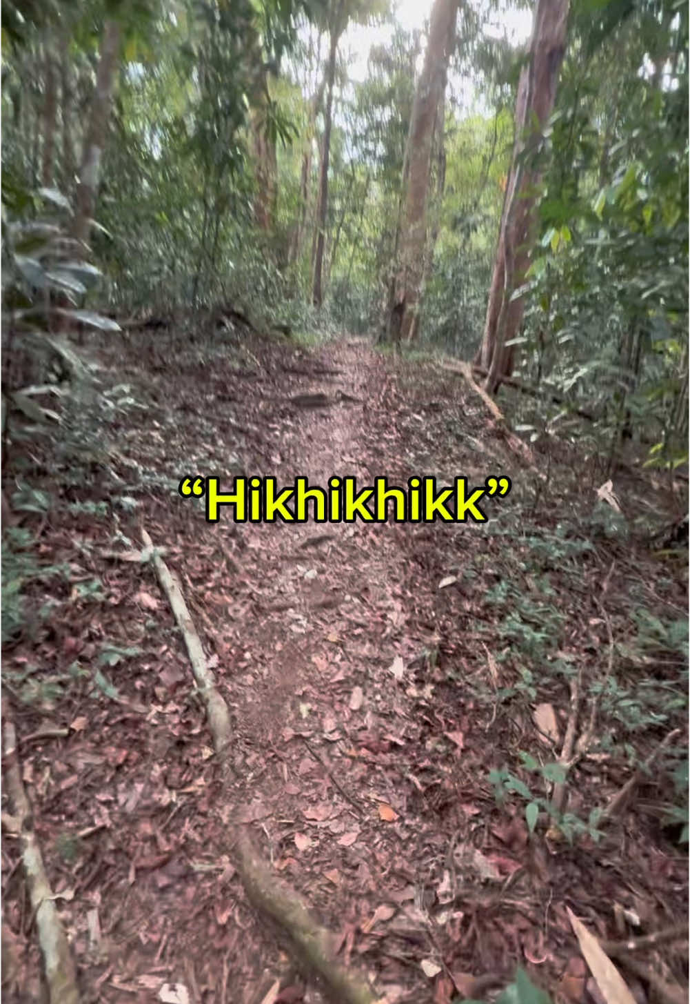 Terecord suara nenek. Dikatakan gunung ni banyak perkampungan bunian. Masa ni kumpulan hiking berada jauh.  Biasala dah sorang mesti kita nyanyi/baca apa yg kita tahu. Waktu tengahari lagi, Tempat rahsia. #hiking #nature