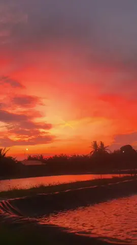 #sunset #fyp #suntetvibes 