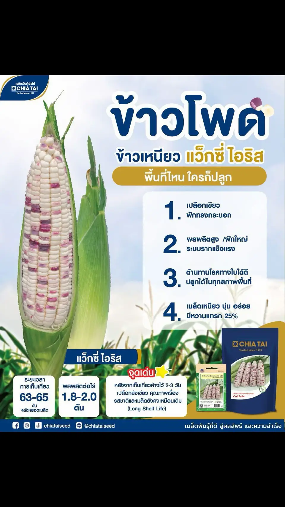 🌽 เลือกข้าวโพดข้าวเหนียว สายพันธุ์คุณภาพ ต้องพิจารณาอะไรบ้าง? 🌽 แล้วทำไม 