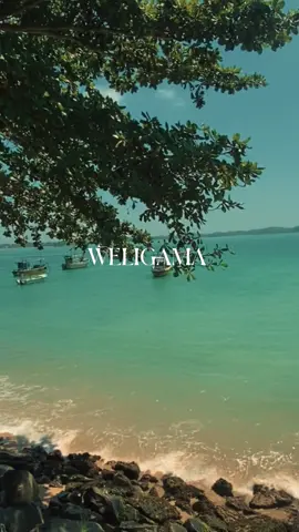 #weligama #CapCut #visitsrilanka🇱🇰 #visitdownsouth #trending #sea #fishing #fishery #foryou #fuppppppppppppppppppppppppp #travel #couple #viralvideo #fyp #fypシ゚ #creatorsearchinsights #downsouth #viraltiktok 