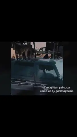 Rahmetli Emre Koyun  #emrekoyun #bedirhanpamuk 