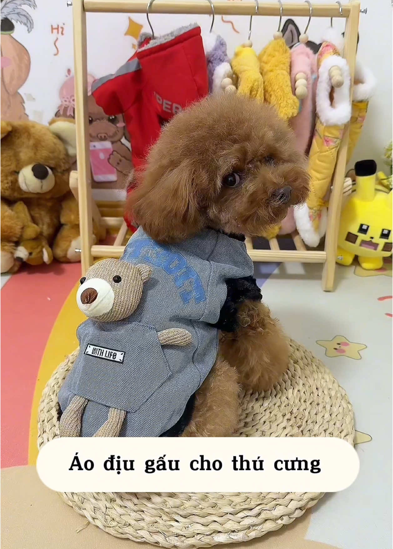 Áo địu gấu xinh xắn cho bé yêu 🐶 #quanaochomeo #quanaothucung #quanaothucungcute #cunyeu #fyp #dog #cute #thucung #poodle #bunquystoc 