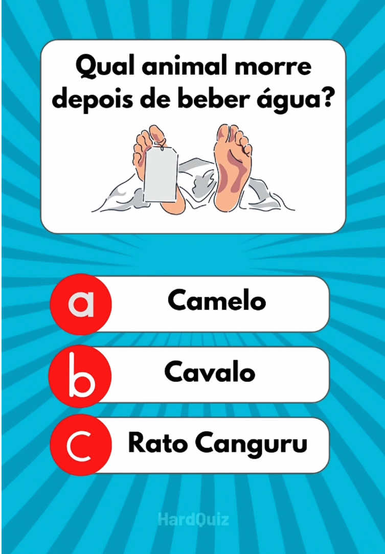 Quiz de conhecimentos gerais, quiz de cultura geral com perguntas e respostas! #cultura #quiz #conhecimento #aprender #desafios #perguntaserespostas 