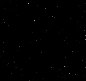 #مجرد________ذووووووق🎶🎵💞 #مجرد_ذووقツ🖤🎼 #حزينةtiktokحالات😭💯💯💯😭 #طششونيي🔫🥺😹💞 #الشعب_الصيني_ماله_حل😂✌️ #اهل_العبارات_الحزينة_زتو📝 #ثالثيون_2025 