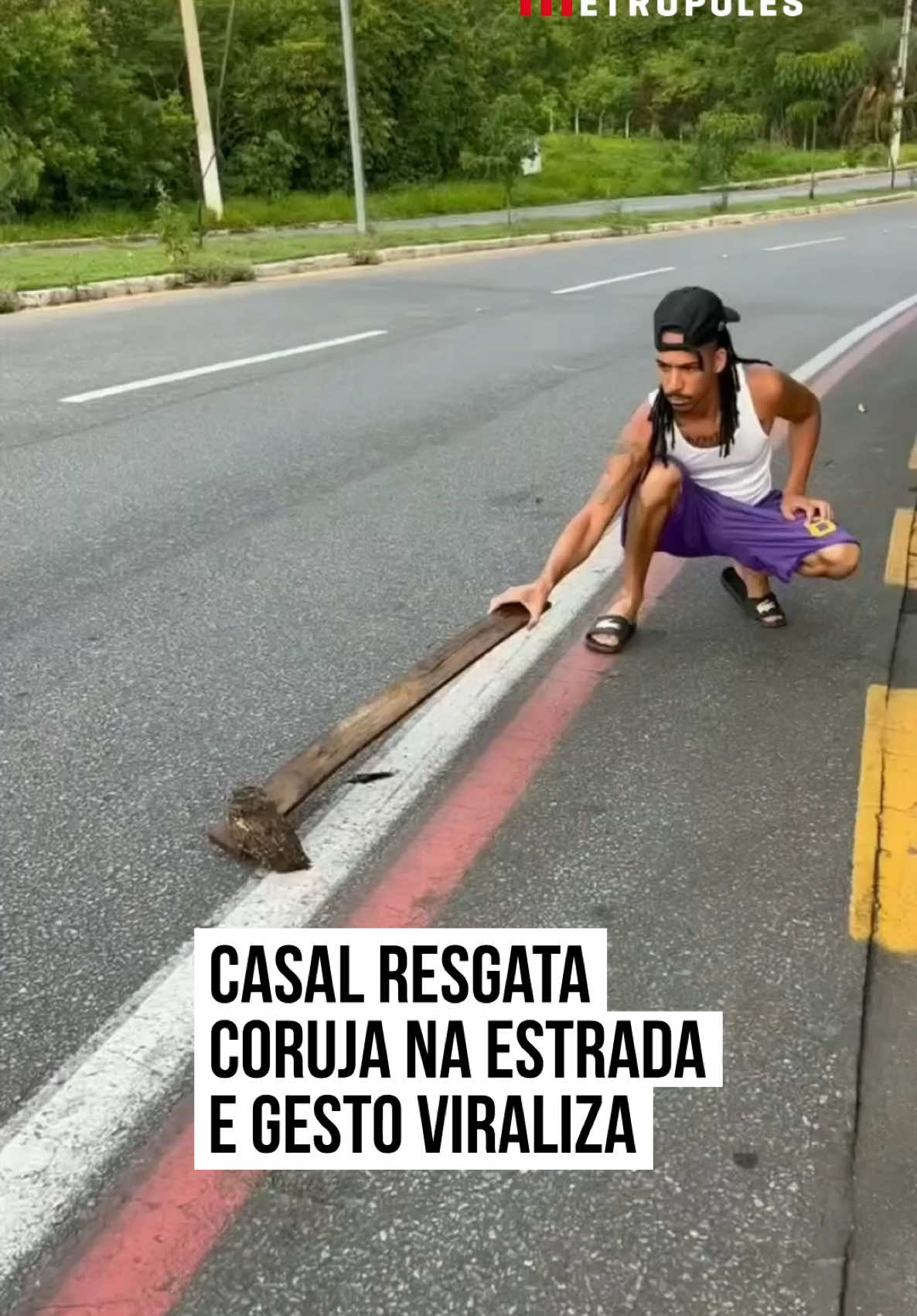 🦉 O blogueiro Young Mascka e a esposa, que é veterinária, se tornaram protagonistas de uma cena que tem encantado os internautas. Durante um #passeio, o casal avistou uma #coruja no meio da pista. Young hesitava em pegar o #animal, mas até tentou fazer uma forcinha com um pedaço de madeira para afastar o bichinho. A esposa, com a experiência de quem entende de cuidados com os animais, conseguiu resgatar a #ave. A moça colocou a coruja em segurança, longe do perigo. #TikTokNotícias  🎥 @zezindafolha123 | @myhoodbr