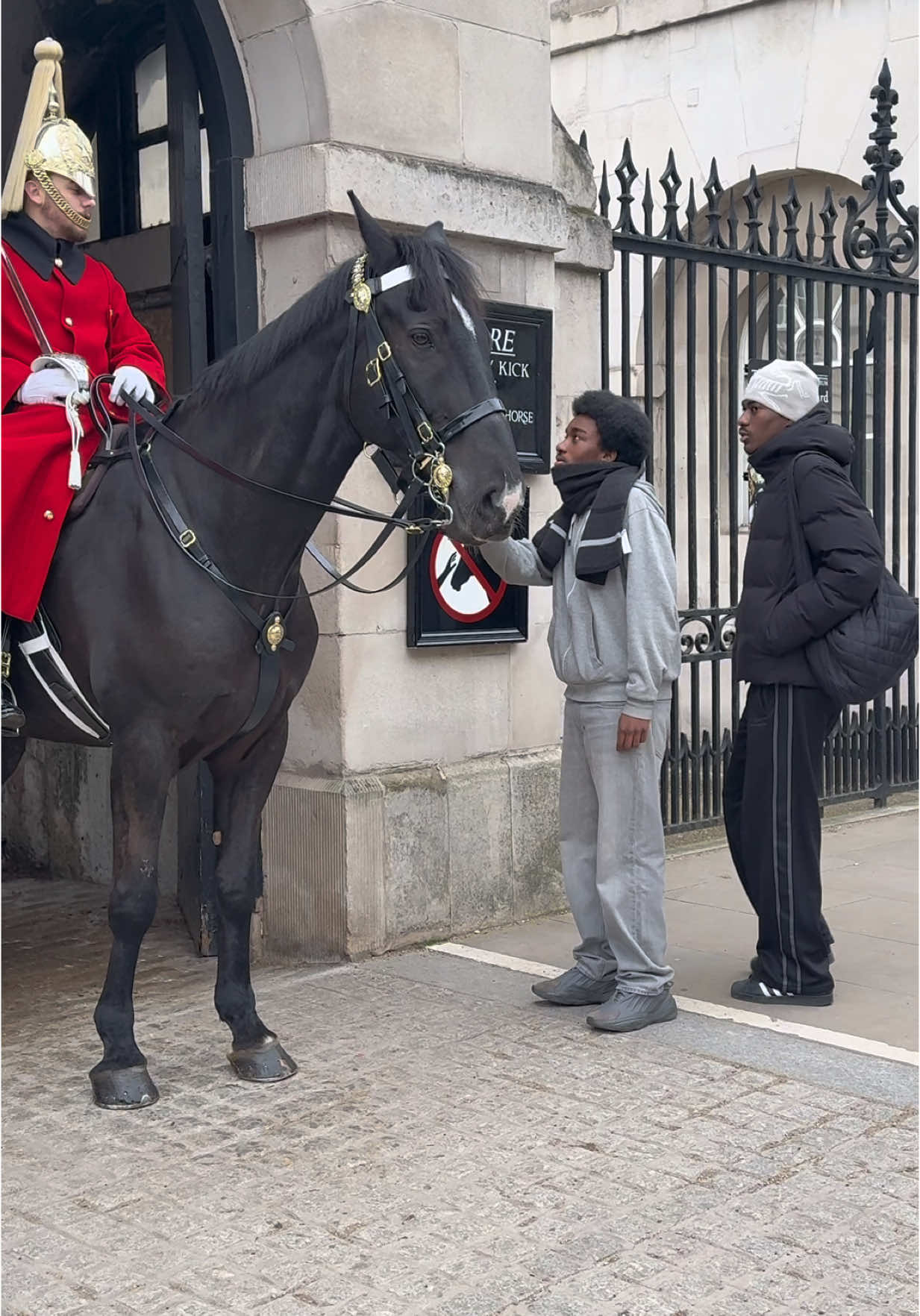 No!! You can’t Touch the Horse #tiktok #fyp 