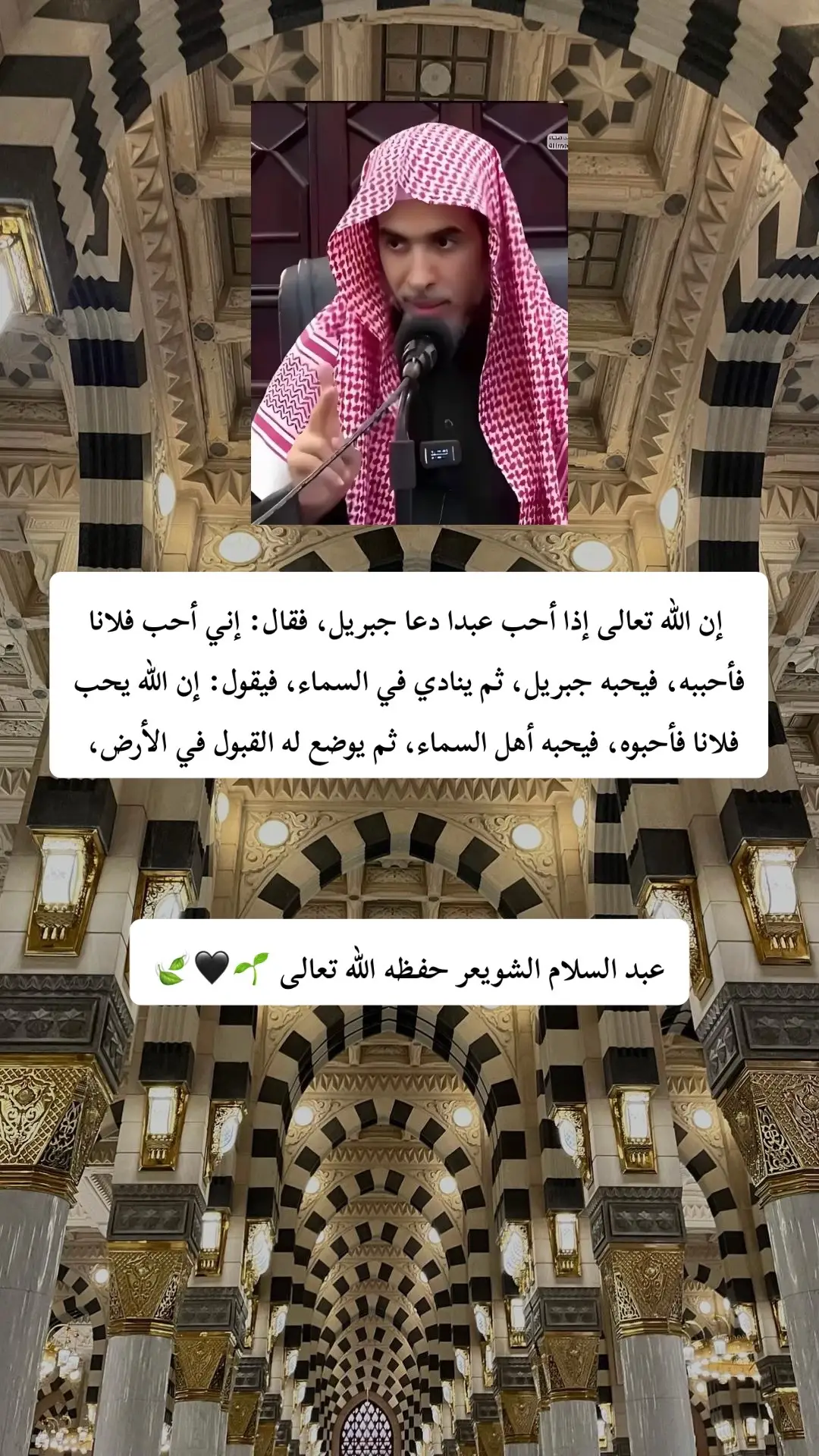 عبد السلام الشويعر حفظه الله تعالى 🌱🍃🍃 #عبد_السلام_الشويعر #عبد_السلام_الشويعر_حفظه_الله 