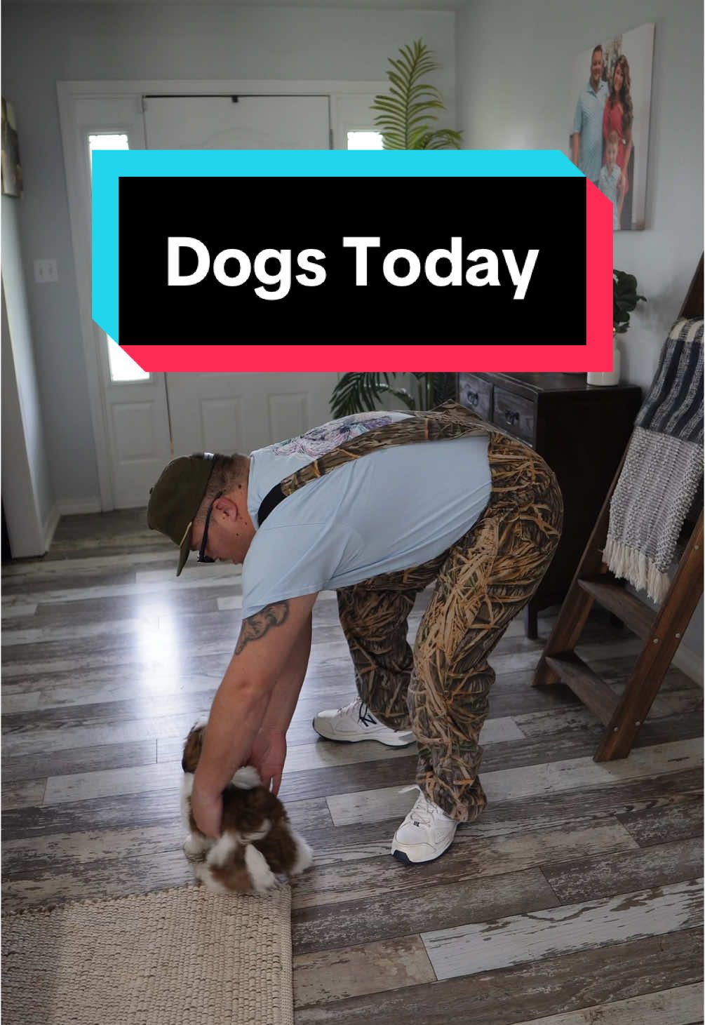 Today’s Dogs Have It Made