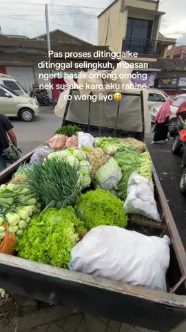 #fyp #bakulsayur #kurirsayur✌️ #kuli #kulisayur #jowopride #pengusahamuda #juraganmuda #bosmuda #sayur #pasar #bakul #sayurfresh 
