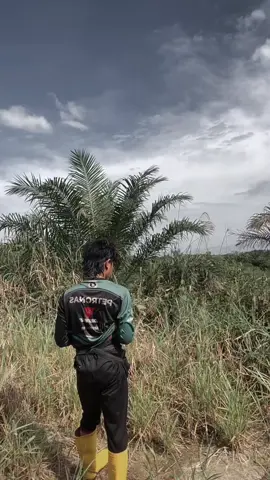 #lombokvirall🌴🌴 #masukberandafyp #fyp 