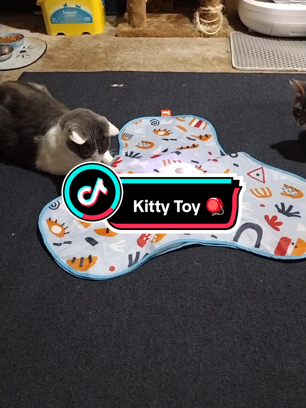 my babies love this toy. so will your babies. don't miss this great deal. cats love interactive toys. #TikTokShop #spotlightfinds #musthave #catsoftiktok #cats #toys 